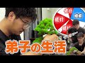 【盆栽職人】弟子の1日はこんな感じ【衣食住完備!?】