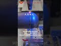 Automatic Continuous Laser Welding Machine for Seamless Titanium Tank Fabrication