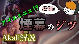 【アカリ vs リサンドラ】アイエエエエ! ニンジャ!? ニンジャナンデ!?最強のアカリ講座【DFM Evi解説】