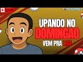 [PXG] Upando no Domingao (Server Gold) #pxg #pokemon #pokexgames #tibia #smeargle  #livepix #live