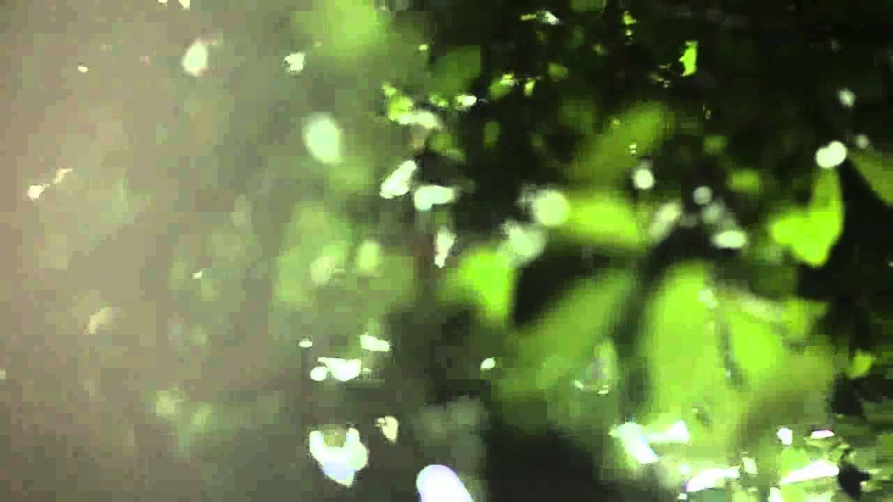 Natalie Dormer - The Principia of Natalie Dormer - 5 Sept 2013