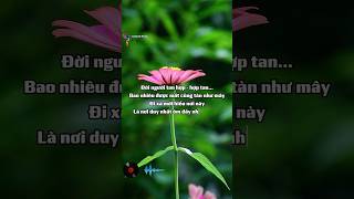 Demo Outro ca khúc : Chỉ Còn Nhớ Thương | sắp xuất bản. Mong mọi người ủng hộ!