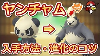 ゴロンダ Youtube