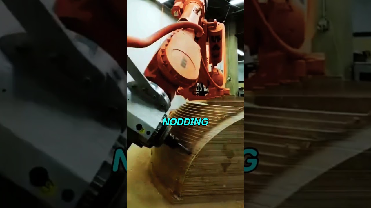 Demand Justice for the Poor🍕🏙️ 