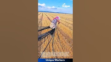 Farming for beginners: a simple guide to irrigation management