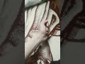 فاكرينها سهله ولاد الجهل