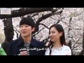الربيع في كوريا spring korea