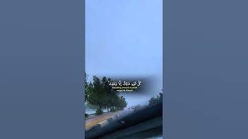 كل شئ هالك إلا وجهه #سورة_القصص #ياسرالدوسري #تلاوات_خاشعة #القران_الكريم_راحه_نفسية #قران