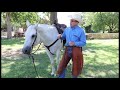 Ranch Life Learning Bonus Content - Characteristics of a Ranch Horse