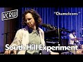 The South Hill Experiment - Chameleons (Live on KCRW)