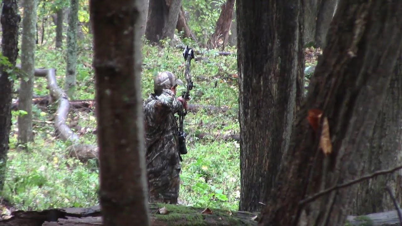 Northern Maryland Spot and Stalk (Archery) YouTube