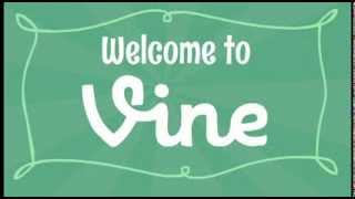 What is Vine?
