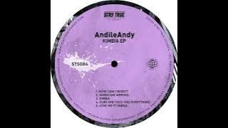 AndileAndy - When She Arrives