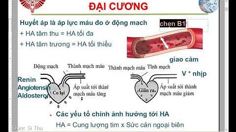 Bài Giảng Hóa Dược Thuốc Tác Động Lên Hệ Tim Mạch