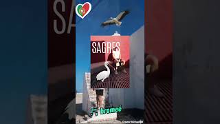 Sagres, Condado Vila do Obispo, Distrito de Faro, Portugal