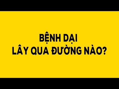 Bệnh Dại Có Lây Qua Đường Ăn Uống Không - Bệnh dại lây qua đường nào? - Duy Anh Web