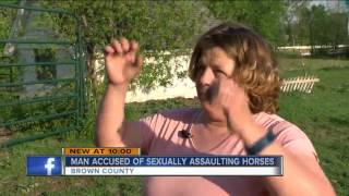 Man Accused Of Sexually Assaulting Horses Man Accused Of Sexually Assaulting Horses
