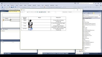 Display Image in RDLC Report from Sql Database using C#