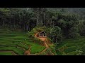 Satu Rumah Di Tengah Sawah | Indah Sekaligus Menyeramkan | Suasana Pedesaan Jawa Barat, Garut