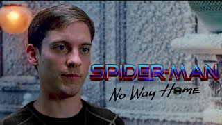 Bully Maguire in the Spider-Man: No Way Home Trailer