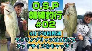 O.S.P 朝練釣行 #02 8月下旬相模湖 ラトリンブリッツMAXでグッドサイズをキャッチ!!