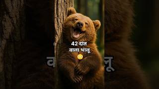 😱🐻 भालू के 42 दांत! 😳 Omnivore का खतरनाक सच #shorts #bear #bearfacts #animalfacts #amazingfacts