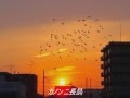 どこかで聴いたことのあるクラシック7曲作業用