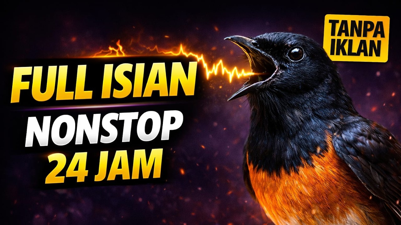 🔴 LIVE Masteran Murai Batu Gacor 🔥 Full Isian Tajam & Nembak | No Iklan 24 Jam