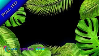 02 Tropical transition (Vignettes) free footage