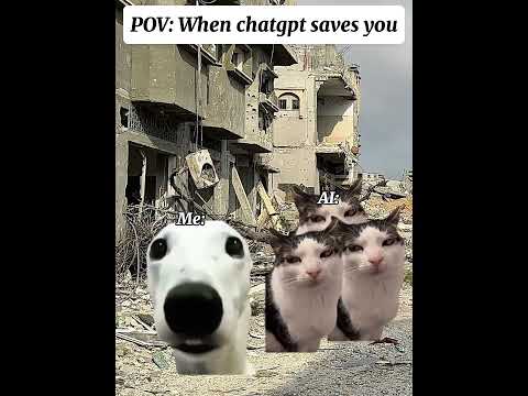 CAT MEMES 🐱 Chatgpt saves you 😂. #catmemes #meme