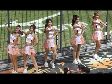 《Uni Girls》LIONS 一定贏