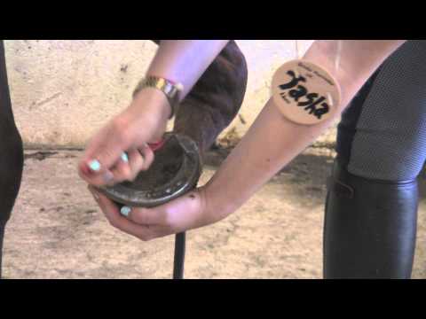Ranker Video