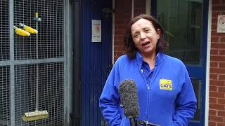 Cats Protection Birmingham are still open!
