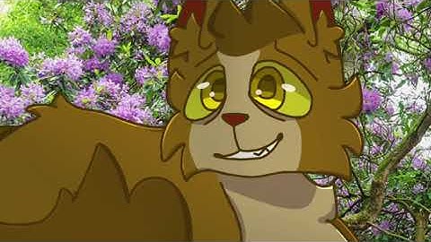 Buttercup Longtail and Goldenflower MAP Part 12