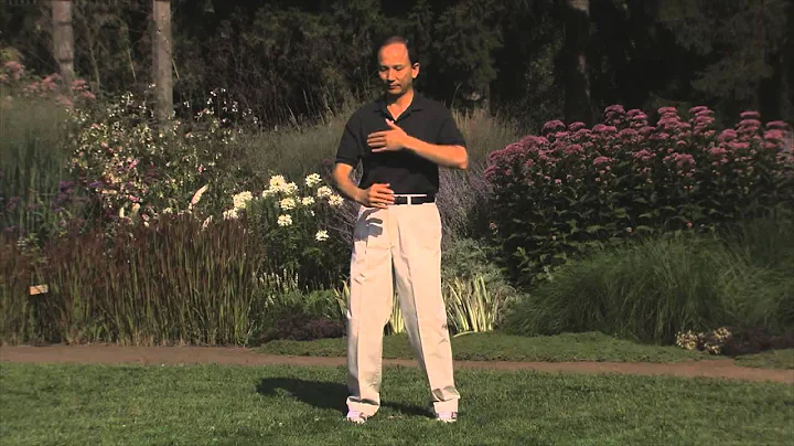 Moving of Yin   Yang with Master Chunyi Lin   Spri...