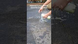 Elephants toothpaste but I closed the bottle before 😈 #elephants toothpaste #funny #experiment