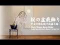 桜の盆栽飾り~平安の雅を映す枝垂れ桜~