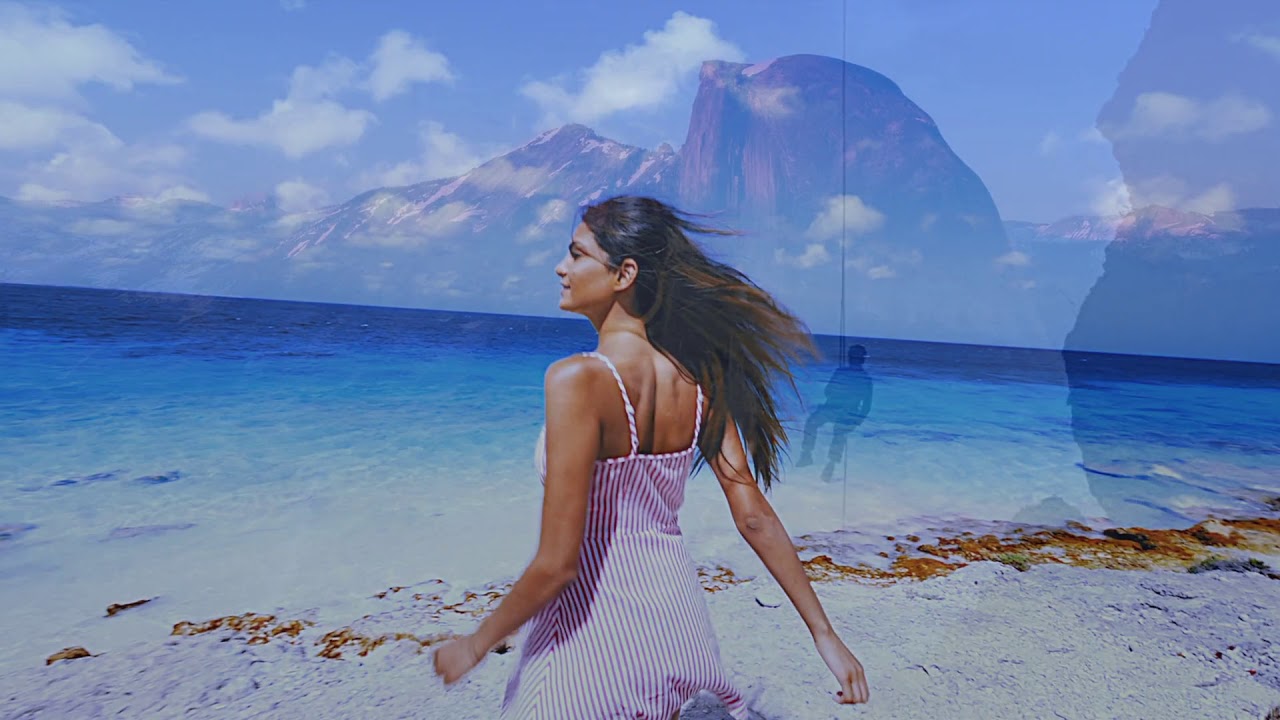 CALIFORNIA BLOODLINES