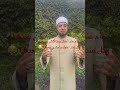 نام عند أختك ومتاكلش عندها وكل عند اخوك وامشي بعدها