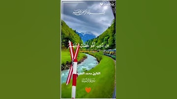 القرآن الكريم #quran #اكسبلور #المصحف #تلاوة_خاشعة #الرحمن #صوت_جميل محب الشيخ محمد الفقيه❤️