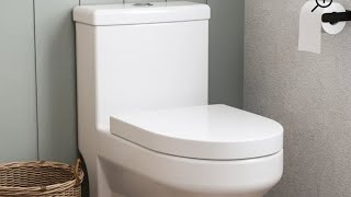 DeerValley Liberty Compact Toilets One-Piece REVIEW 2025