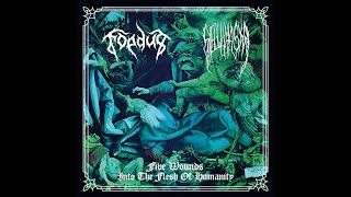 Foedus / Sieluhaaska - Five Wounds into the Flesh of Humanity (Full Split Premiere)