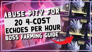 WuWa | FARM 20 4-COST ECHOES AN HOUR WITH ECHO PITY - Wuthering Waves Echo Farming Guide