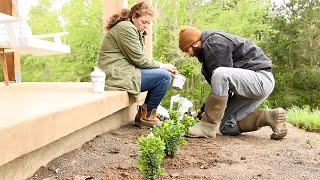 Huge Plant Haul | Landscaping Around Our House