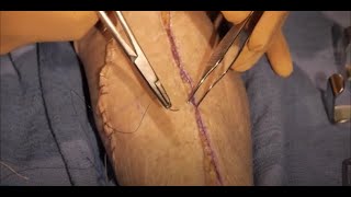 Basic Skills Soft Tissue Handling and Dissection: Layered Closure screenshot 5