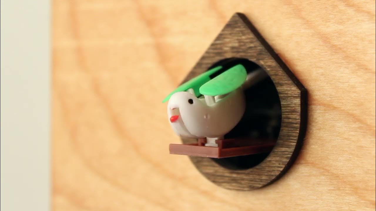 Cuckoo Clock in Action Multiplied Design YouTube
