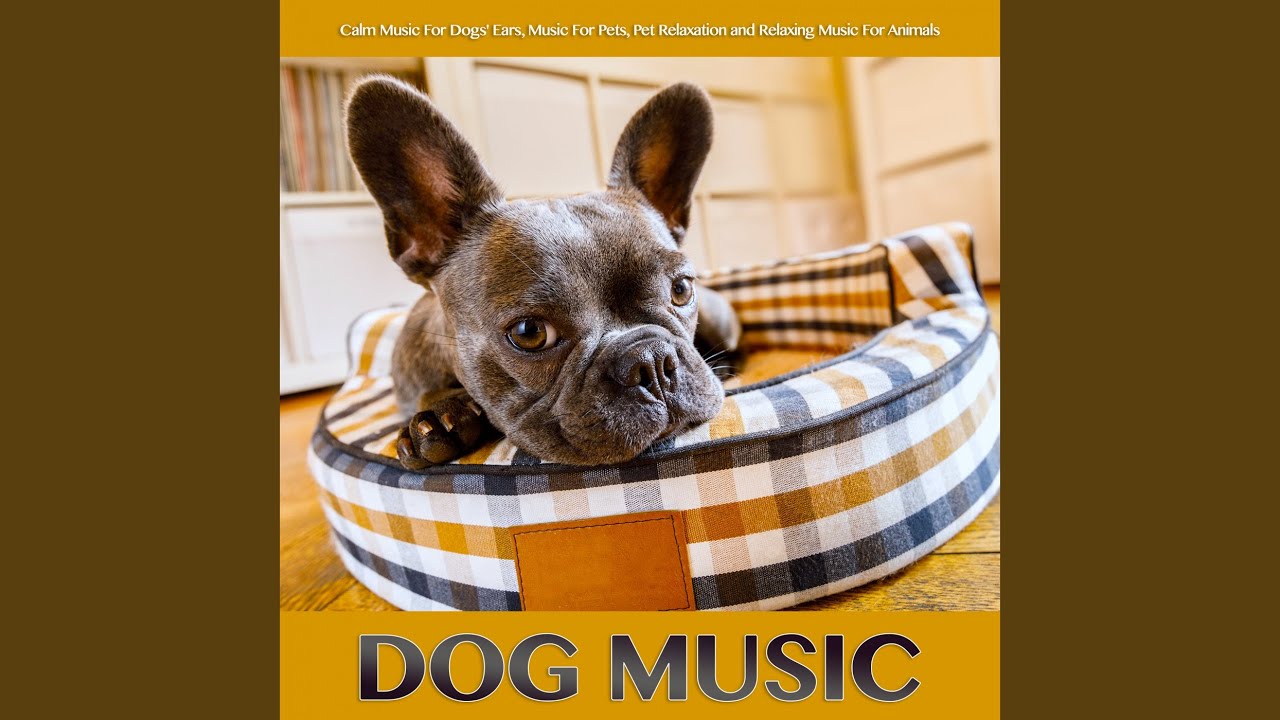 Dog Music YouTube