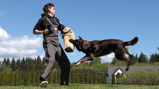 Physical and Mental Ability - The Key to Successful Protection Training