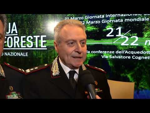 Acqua e foreste: patto di alleanza per la loro tutela tra Aqp, Carabinieri e Sirf - Palmieri