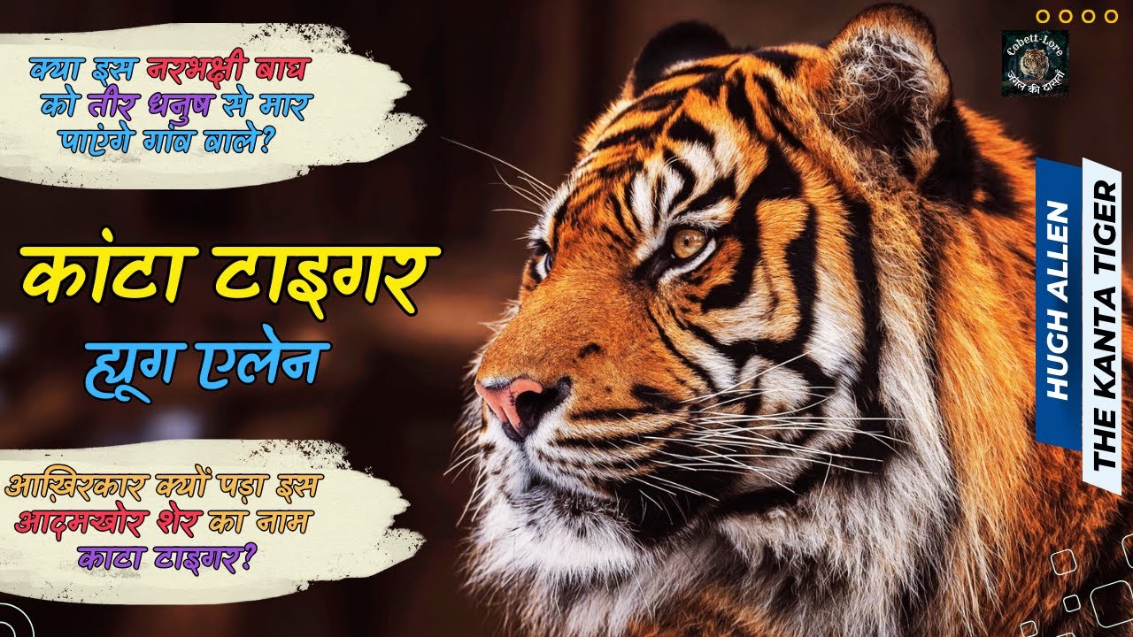 टाइगर के आदमखोर बनने की वजह जानकर गुस्से से भर जायेंगे?एलन की सबसे जबरदस्त कहानी #CorbettLore #Tiger